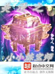 美漫之小小煉寶師小說