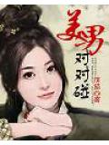 美男對對碰小說