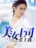 美女上司愛上我小說