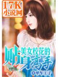 美女校花的貼身高手小說