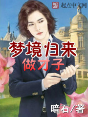 夢境歸來做才子小說