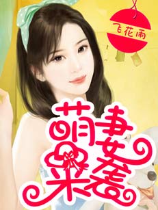 萌妻來襲小說