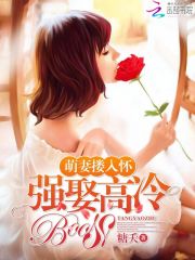 萌妻摟入懷：強娶高冷boss小說