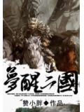 夢醒三國小說