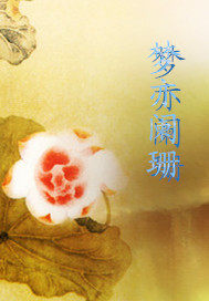 夢亦闌珊小說