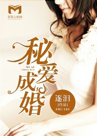秘愛成婚小說
