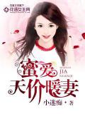 蜜愛天價暖妻小說