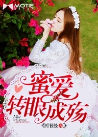 蜜愛轉眼成殤小說