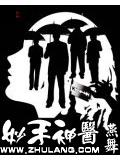 妙手神醫 - 星月天下小說