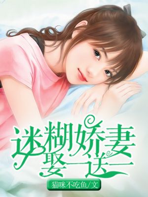 迷糊嬌妻娶一送一小說