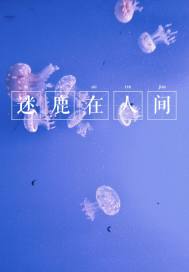 迷鹿在人間小說