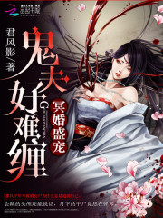 冥婚盛寵:鬼夫好難纏小說