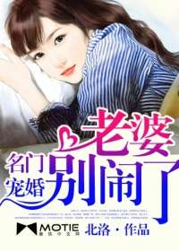 名門寵婚：老婆別鬧了小說