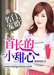 名門寵婚：首長的小甜心小說