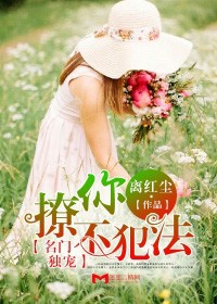 名門獨寵，撩你不犯法小說