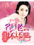 名門老公壞壞噠小說