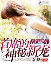 名門情鬥：首席的神秘新寵小說