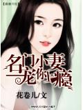 名門小妻小說