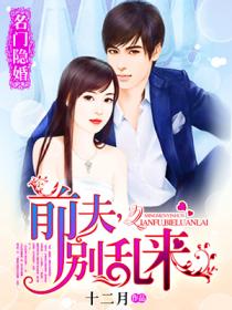 名門隱婚：前夫，別亂來小說