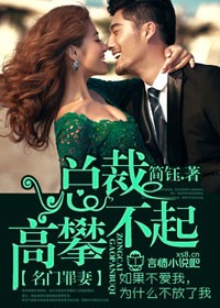 名門罪妻，總裁高攀不起小說