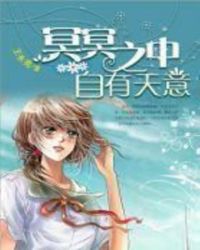 冥冥之中自有天意小說