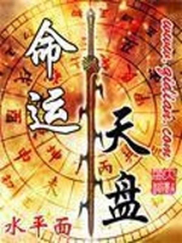 命運天盤小說