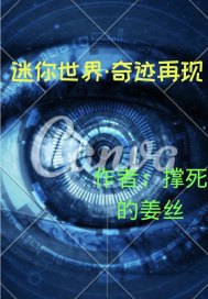 迷你世界奇蹟再現小說