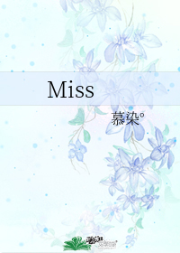 Miss小說