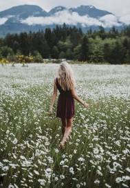 莫家有女 初長成小說