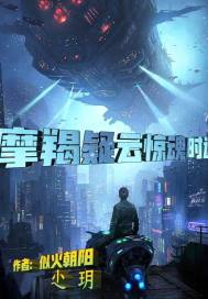 摩羯疑雲驚魂時速小說