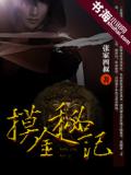 摸金秘記小說
