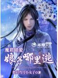 魔君鎖愛娘子哪裡逃小說