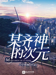 某齊神的次元小說