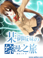 某御阪妹的綜漫之旅小說