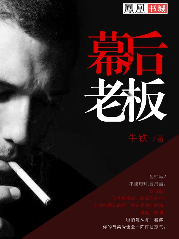 幕後老闆小說