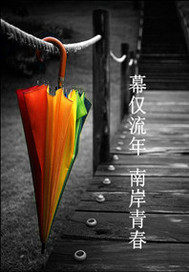 幕僅流年南岸青春小說