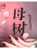 母樹小說