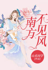 南方不見風小說