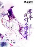 那年，我們不懂愛情小說