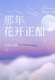 那年花開正酣小說