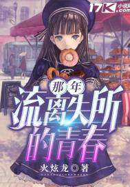 那年流離失所的青春小說