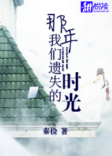 那年我們遺失的時光小說