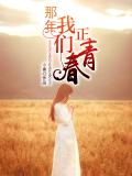 那年我們正青春小說