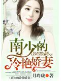 南少的冷豔嬌妻小說