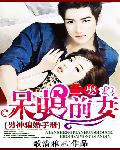 男神騙婚手冊:二娶呆萌前妻小說