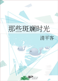 那些斑斕時光小說