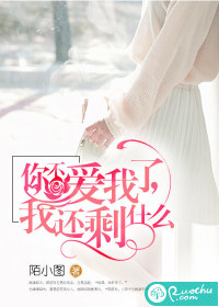 你不愛我了，我還剩什麼小說