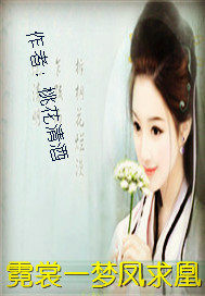 霓裳一夢鳳求凰小說