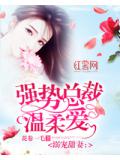 溺寵甜妻：強勢總裁溫柔愛小說