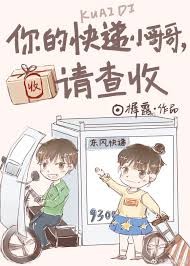 你的快遞小哥哥，請查收小說